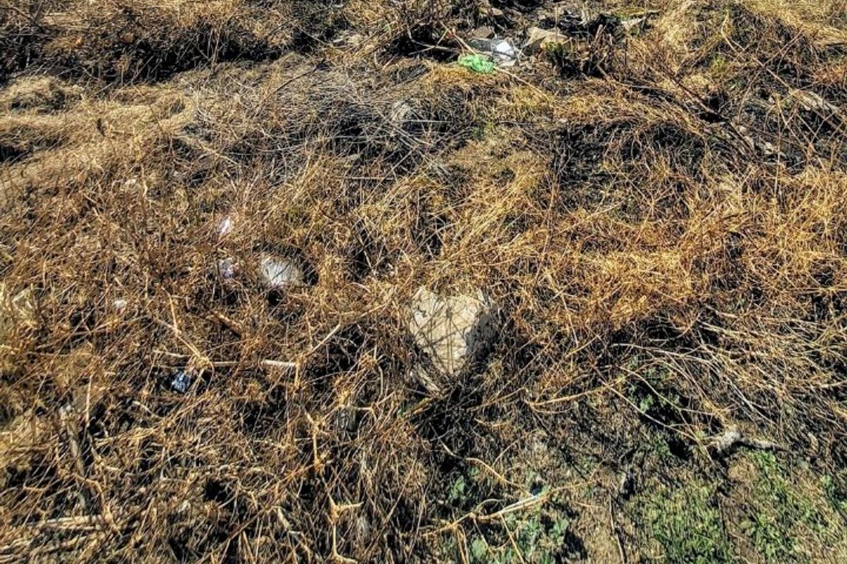 Vacant Land For Sale In Welverdiend  - Photo 3