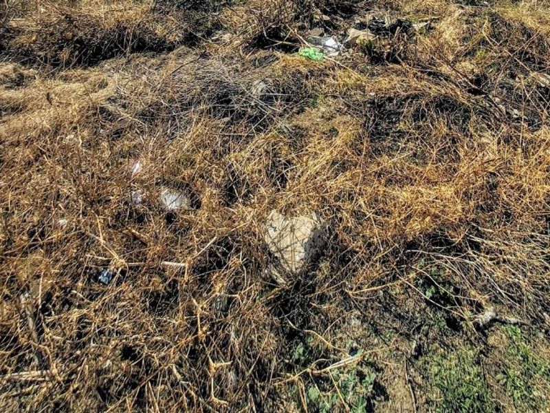 Vacant Land For Sale In Welverdiend  - Photo 3