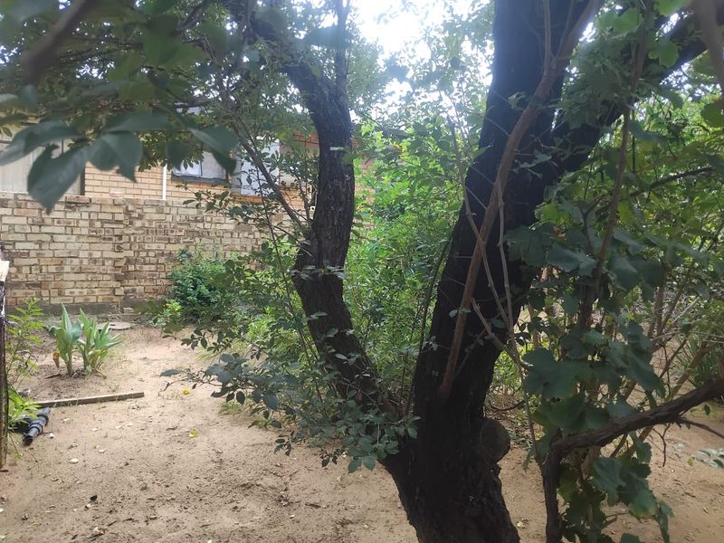 Vacant land for sale in Alabama - Photo 5