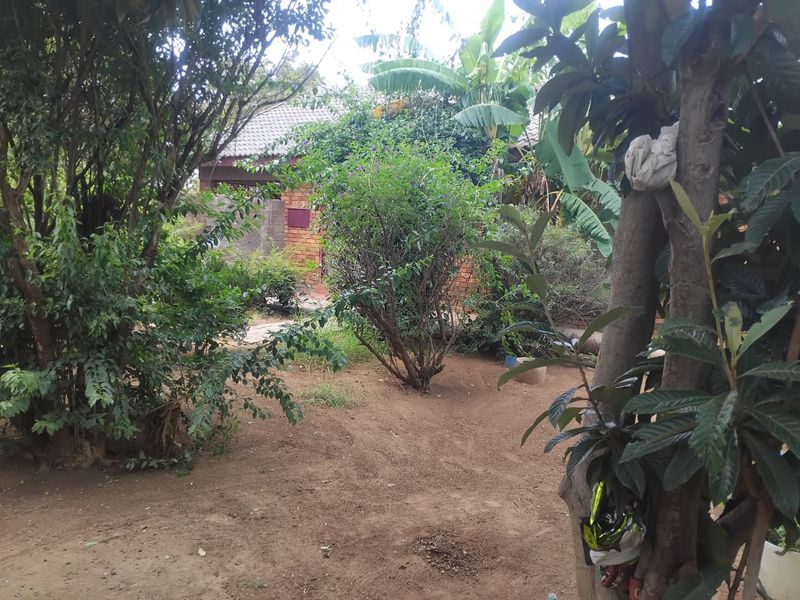 Vacant land for sale in Alabama - Photo 7