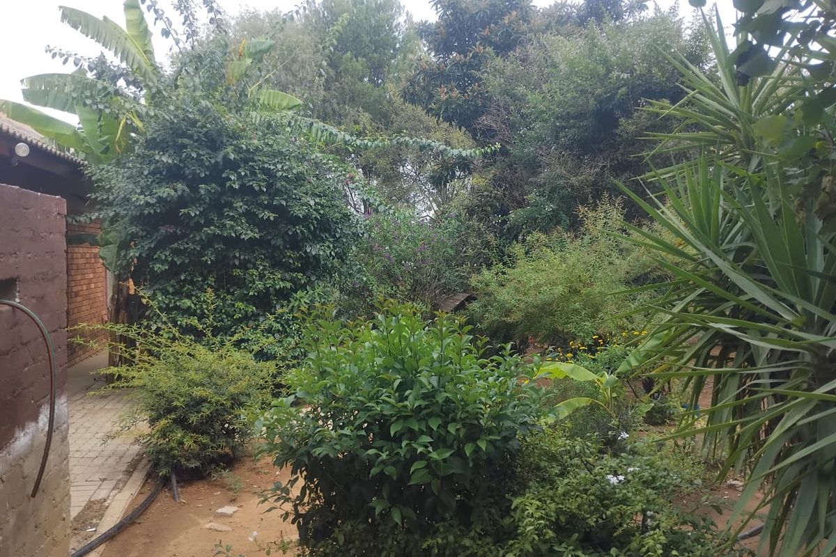 Vacant land for sale in Alabama - Photo 4