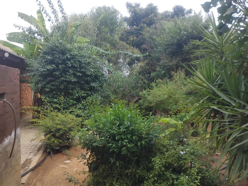 Vacant land for sale in Alabama - Photo 4