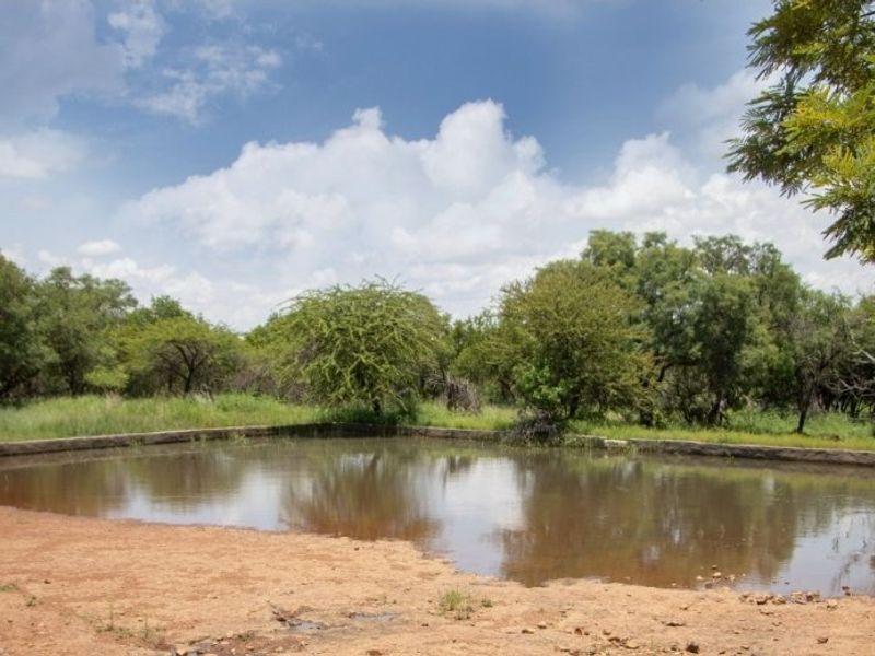 Own your Own Bushveld getaway in Dinokeng,  21 Ha fenced land with Dam on offer - Photo 2
