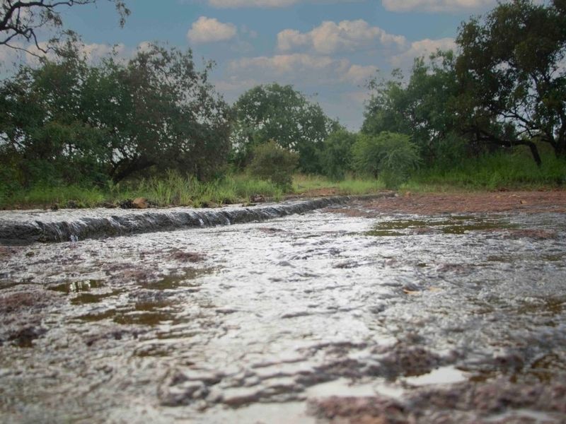Own your Own Bushveld getaway in Dinokeng,  21 Ha fenced land with Dam on offer - Photo 1