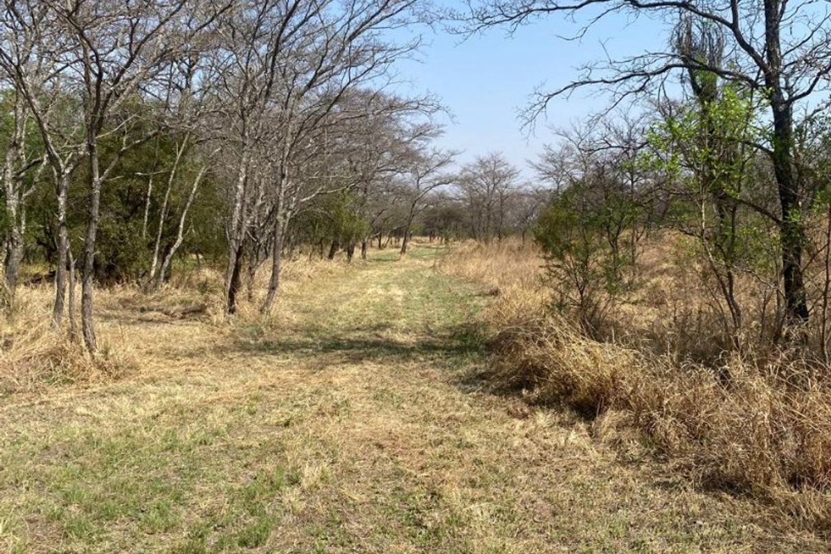 Best location in Dinokeng 21 hectares farm with waterfront house and flatlets - Photo 5