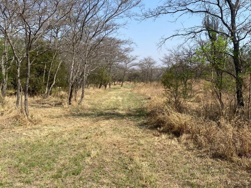 Best location in Dinokeng 21 hectares farm with waterfront house and flatlets - Photo 5