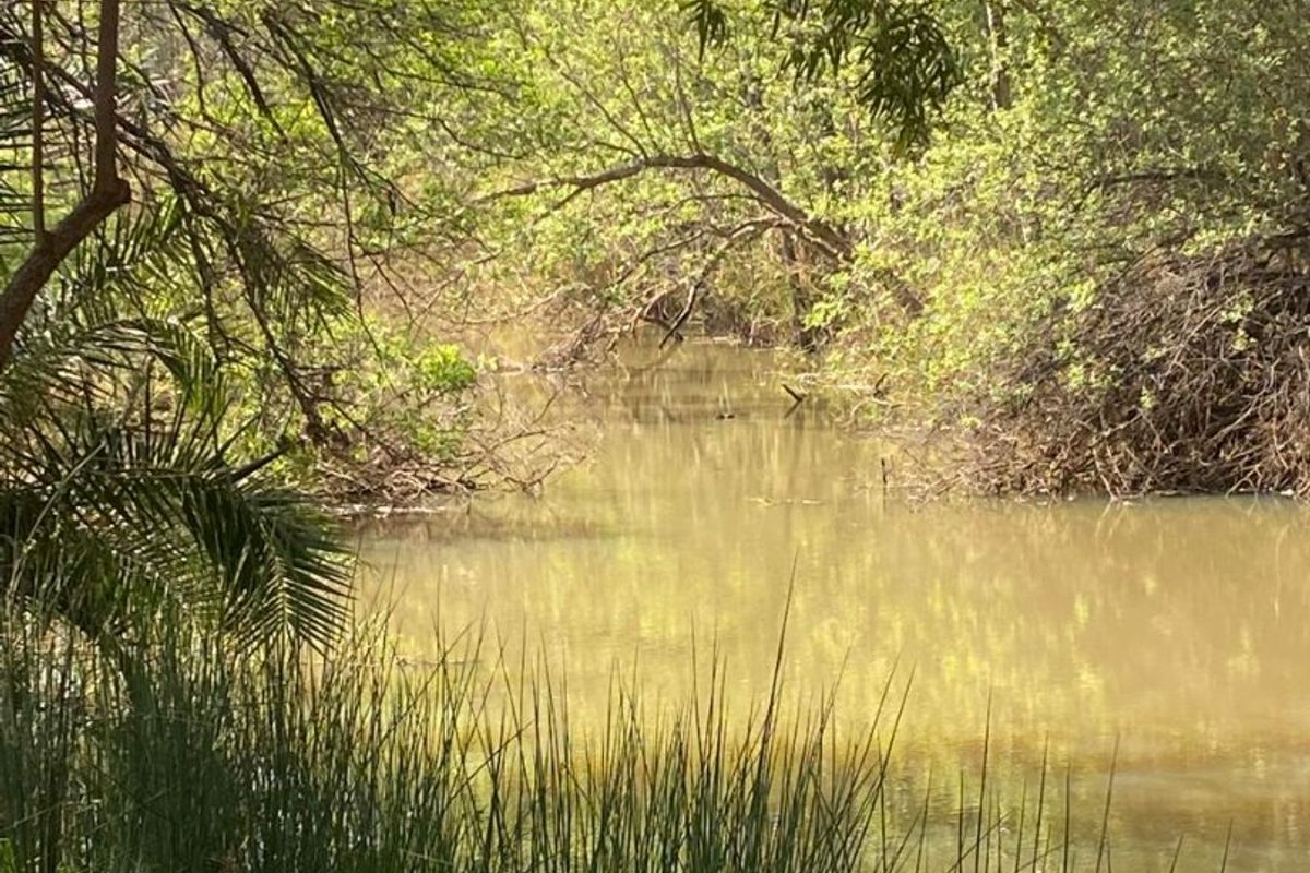 Best location in Dinokeng 21 hectares farm with waterfront house and flatlets - Photo 4