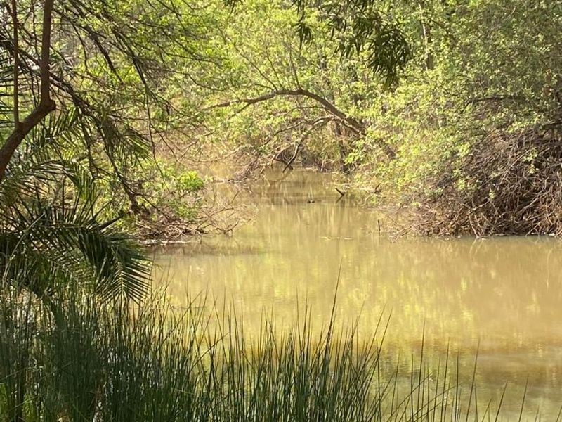 Best location in Dinokeng 21 hectares farm with waterfront house and flatlets - Photo 4