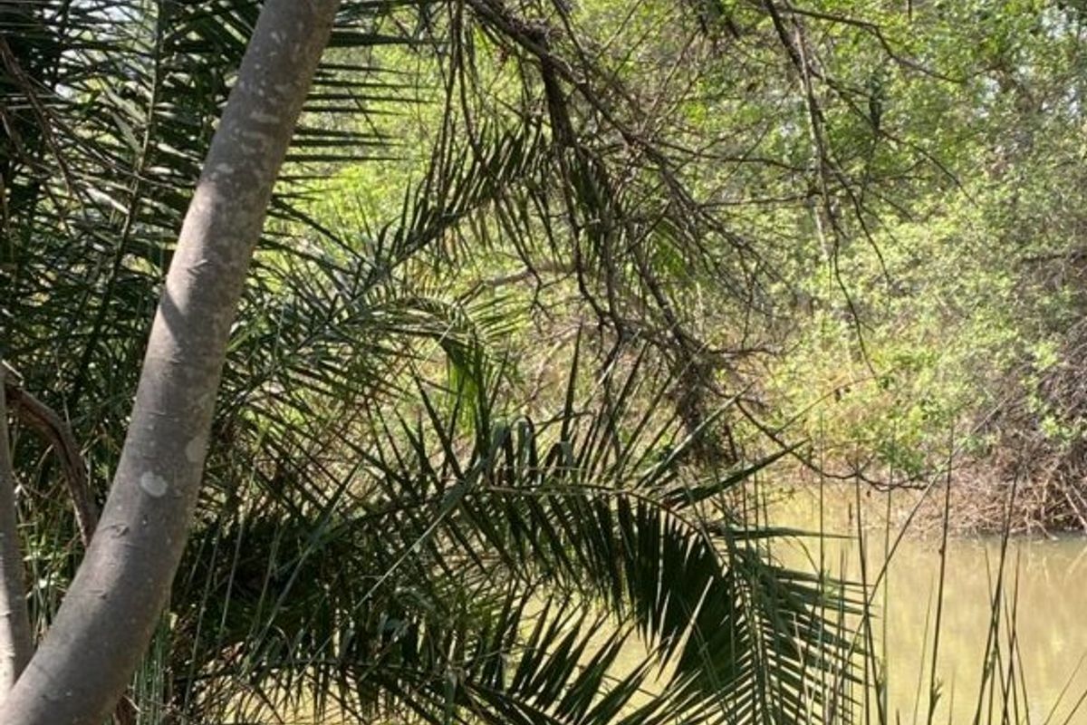 Best location in Dinokeng 21 hectares farm with waterfront house and flatlets - Photo 2