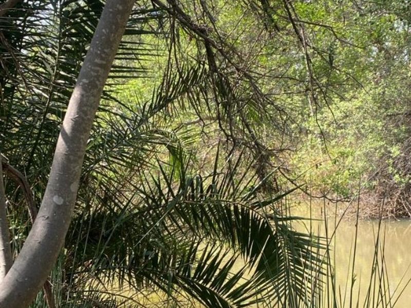 Best location in Dinokeng 21 hectares farm with waterfront house and flatlets - Photo 2