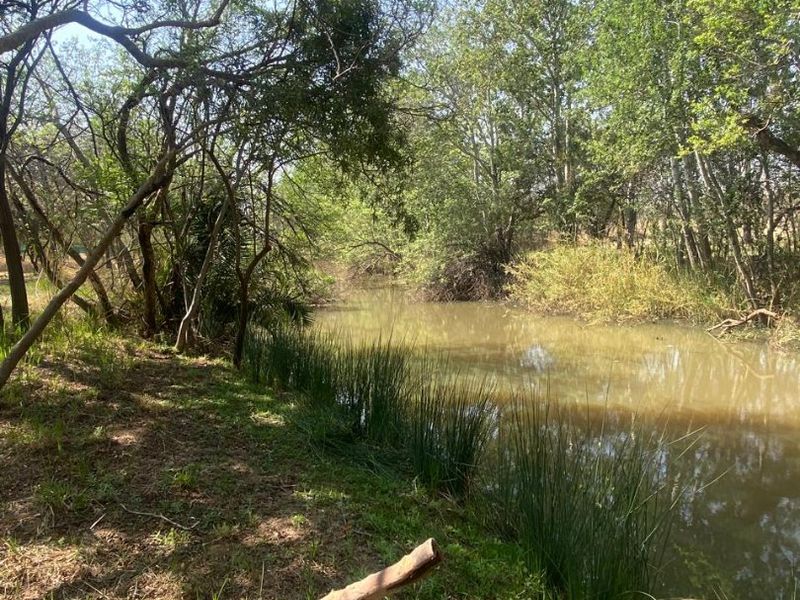 Best location in Dinokeng 21 hectares farm with waterfront house and flatlets - Photo 9