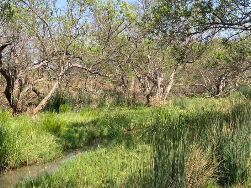 Best location in Dinokeng 21 hectares farm with waterfront house and flatlets - Photo 8