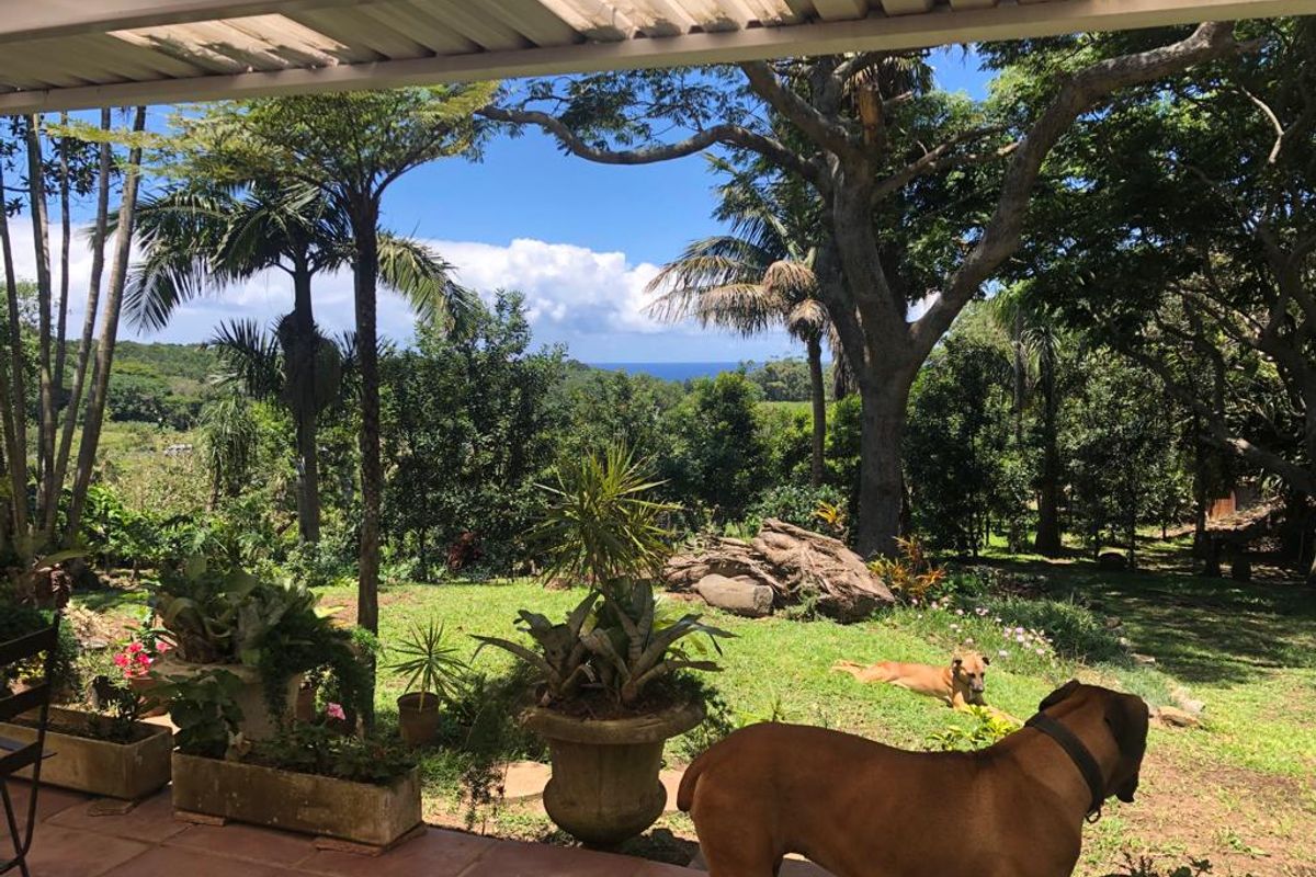 Macadamia Nut Farm For Sale With Flatlets - Photo 2