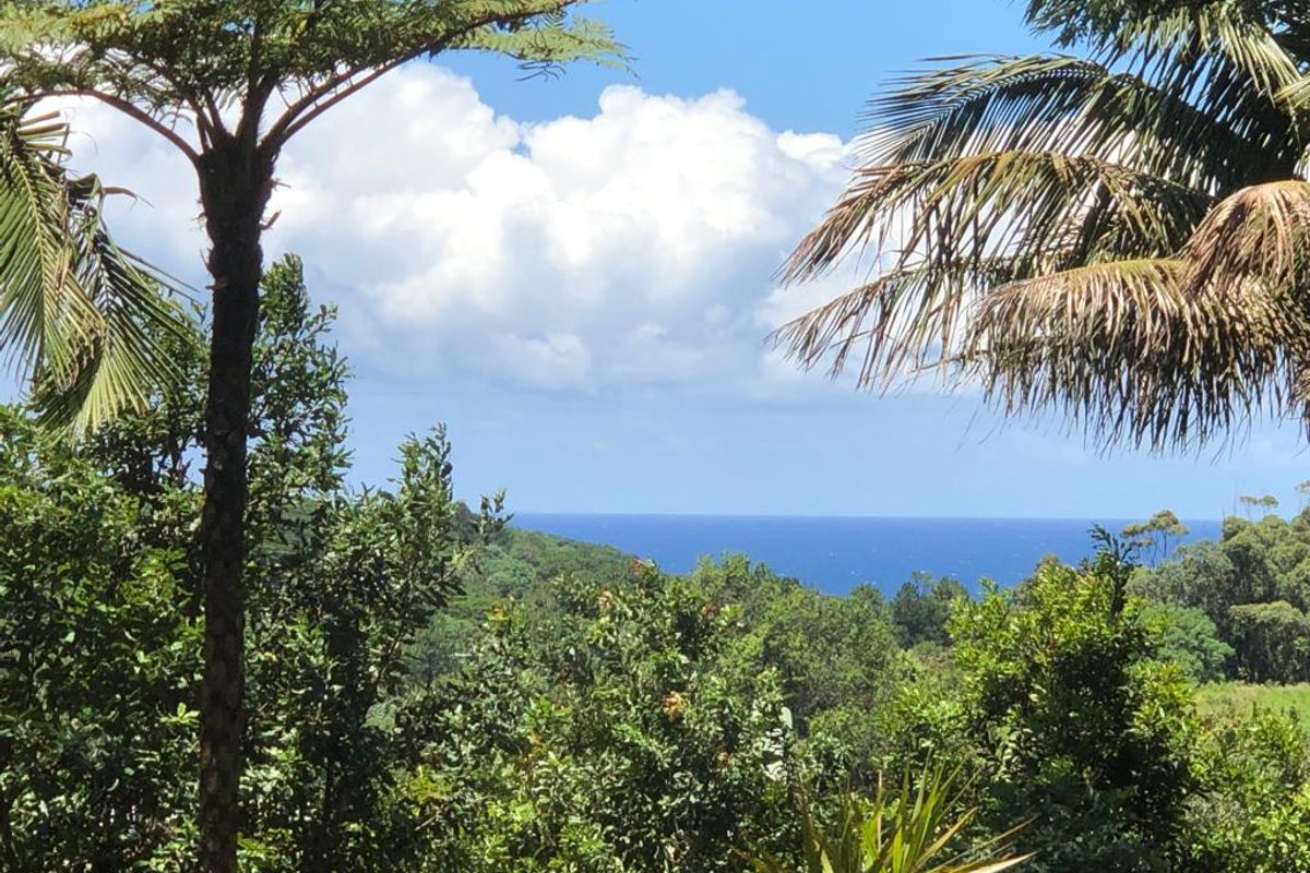 Macadamia Nut Farm For Sale With Flatlets - Photo 4