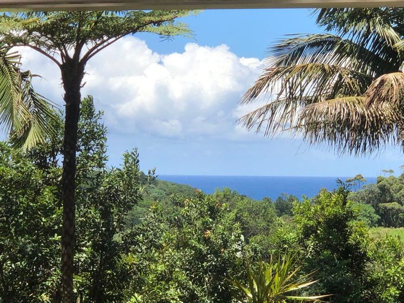 Macadamia Nut Farm For Sale With Flatlets - Photo 4