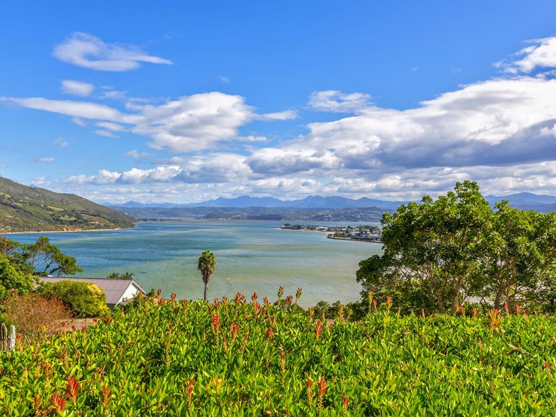 Follow the sun and enjoy this warm and sunny Knysna Heads home - Photo 2