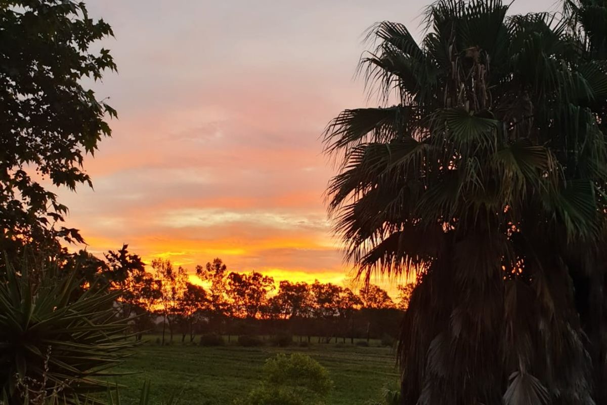 10-Hectare Farm with High Yield  - Photo 4