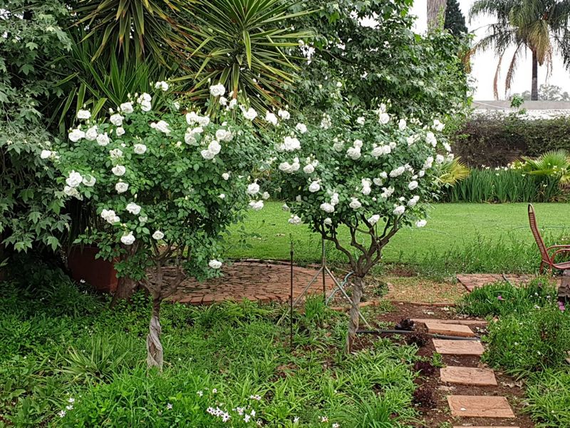 10-Hectare Farm with High Yield  - Photo 8