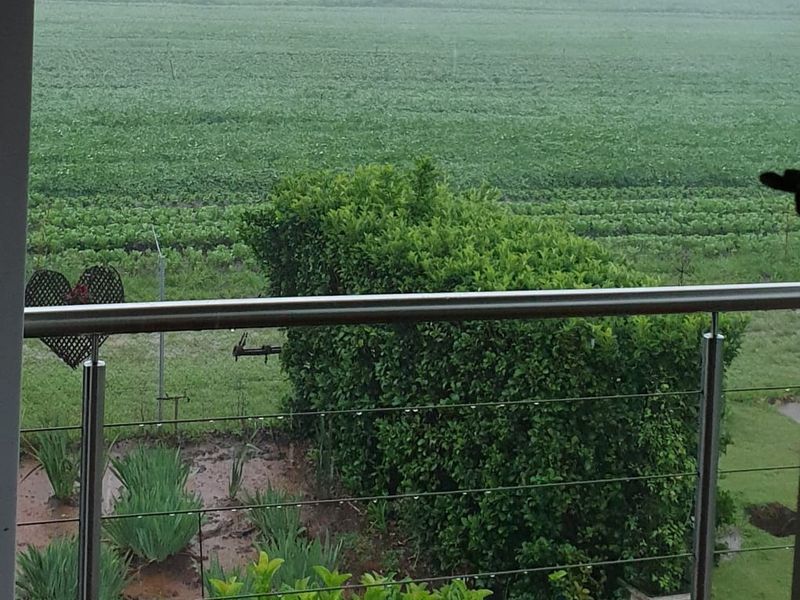 10-Hectare Farm with High Yield  - Photo 7