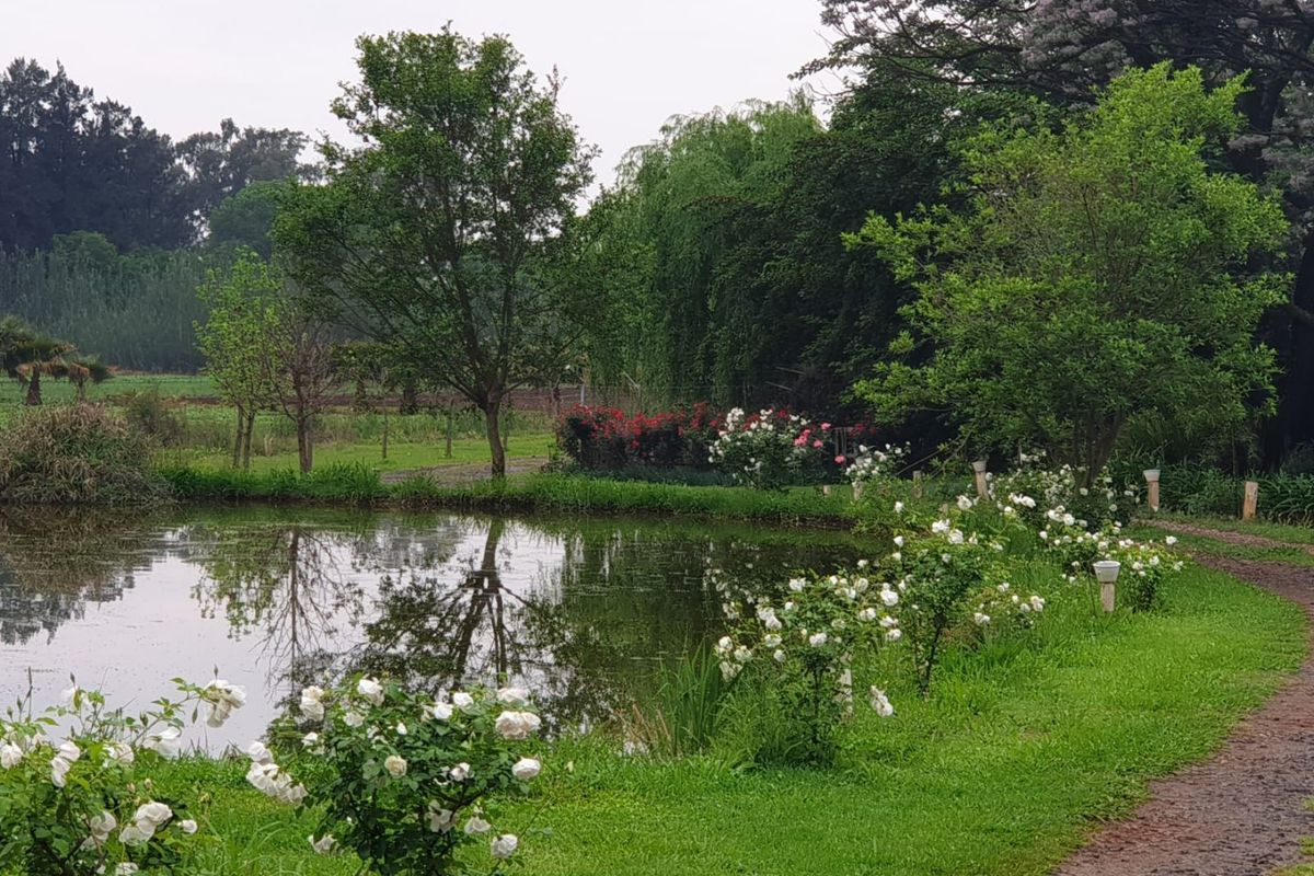 10-Hectare Farm with High Yield  - Photo 3