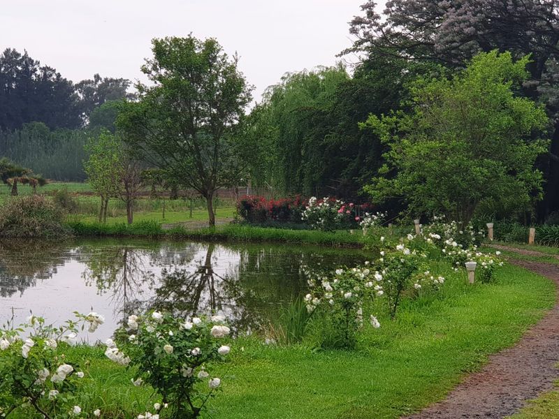 10-Hectare Farm with High Yield  - Photo 3