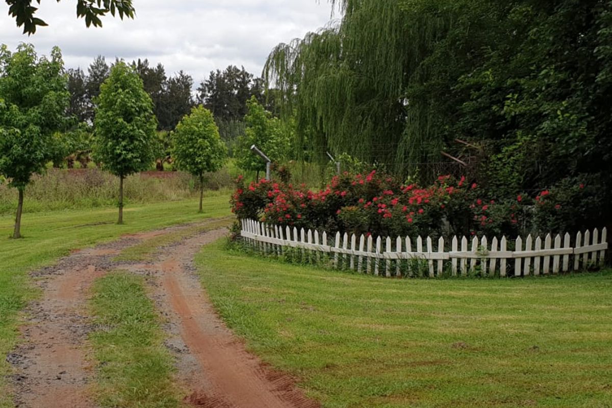 10-Hectare Farm with High Yield  - Photo 5