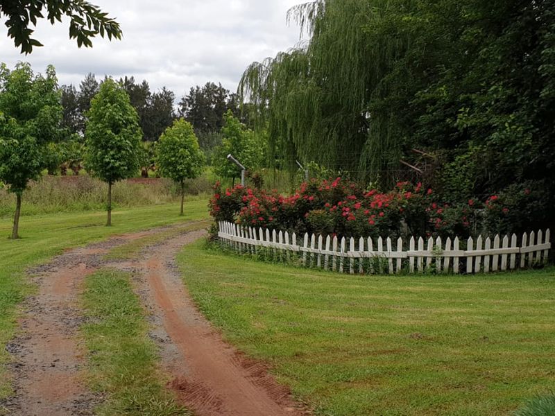 10-Hectare Farm with High Yield  - Photo 5