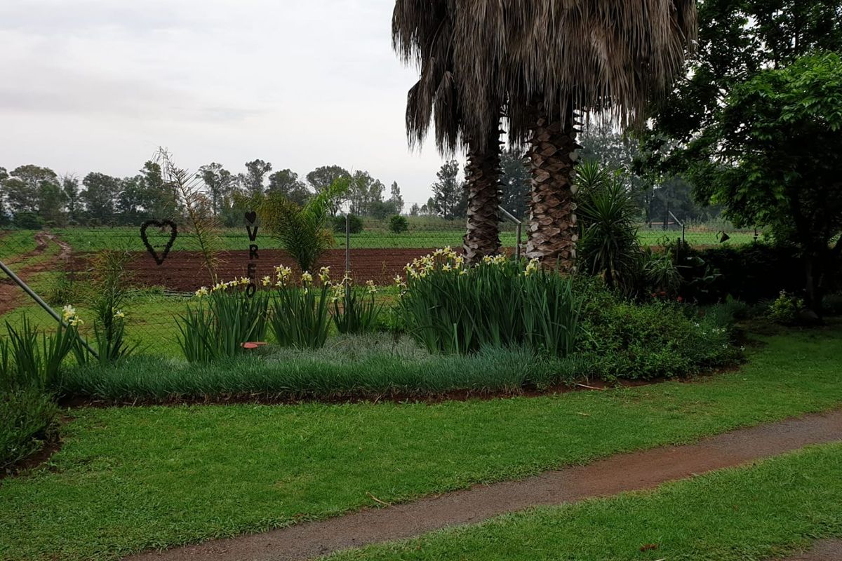 10-Hectare Farm with High Yield  - Photo 2