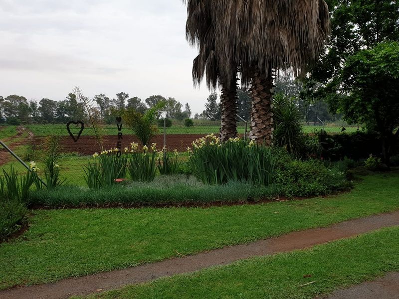 10-Hectare Farm with High Yield  - Photo 2