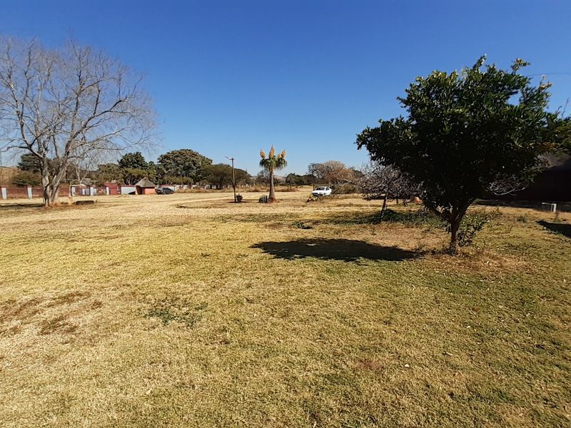 A wide-angle view of a large, open farm garden area featuring mature trees and perimeter fencing under a clear blue sky.
