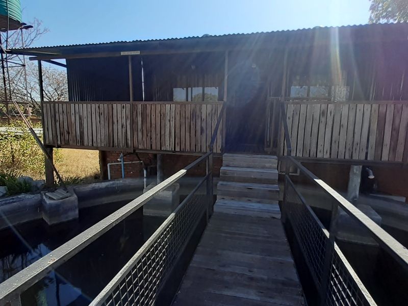 Elevated rustic structure featuring a wooden deck and bridge walkway, positioned over a concrete water reservoir on a farm property.
