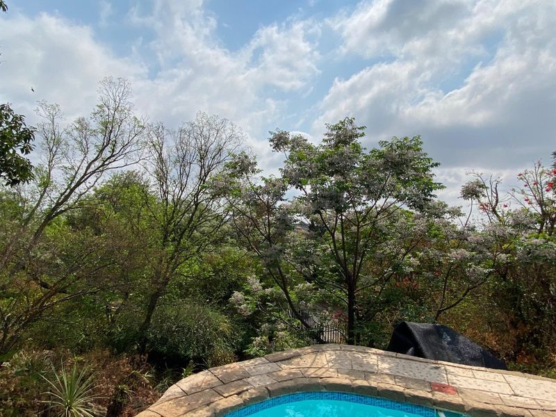 Beautiful Family Home with Panoramic Views - Photo 9