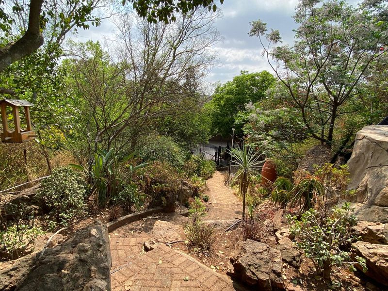 Beautiful Family Home with Panoramic Views - Photo 7