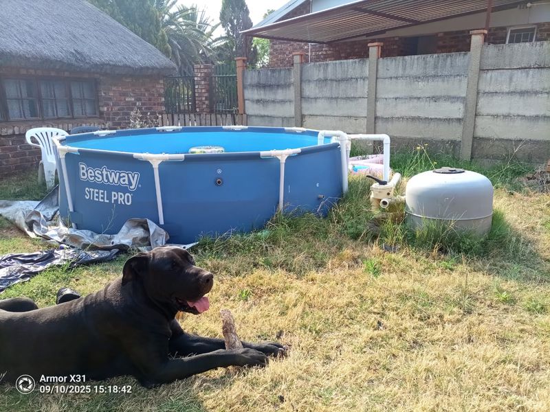 Charming 3-Bedroom Home for Sale in Orkney - Photo 10