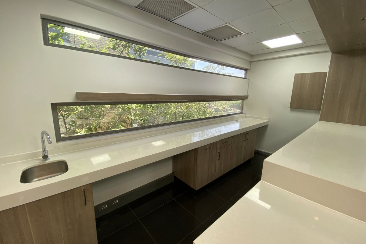 Modern commercial kitchenette featuring sleek wood-grain cabinetry, white stone countertops, an undermount sink, and expansive horizontal windows providing natural light.