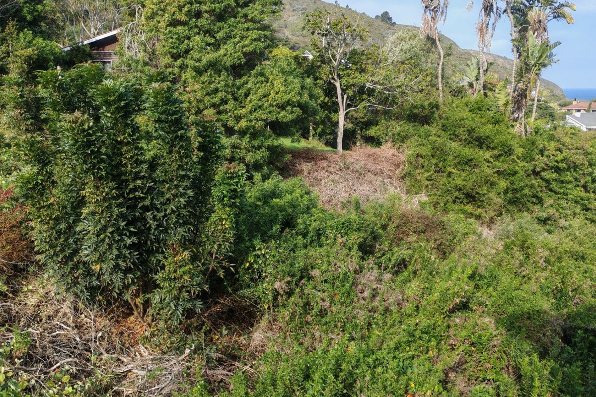 Seaview vacant land in exclusive Glentana  - Photo 5