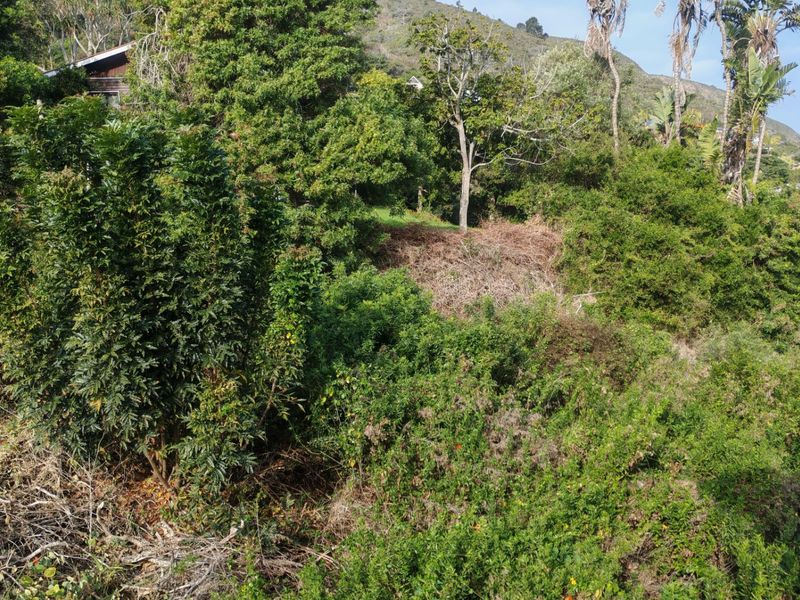 Seaview vacant land in exclusive Glentana  - Photo 5