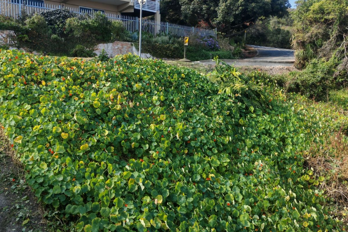 Seaview vacant land in exclusive Glentana  - Photo 4