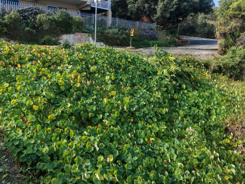 Seaview vacant land in exclusive Glentana  - Photo 4