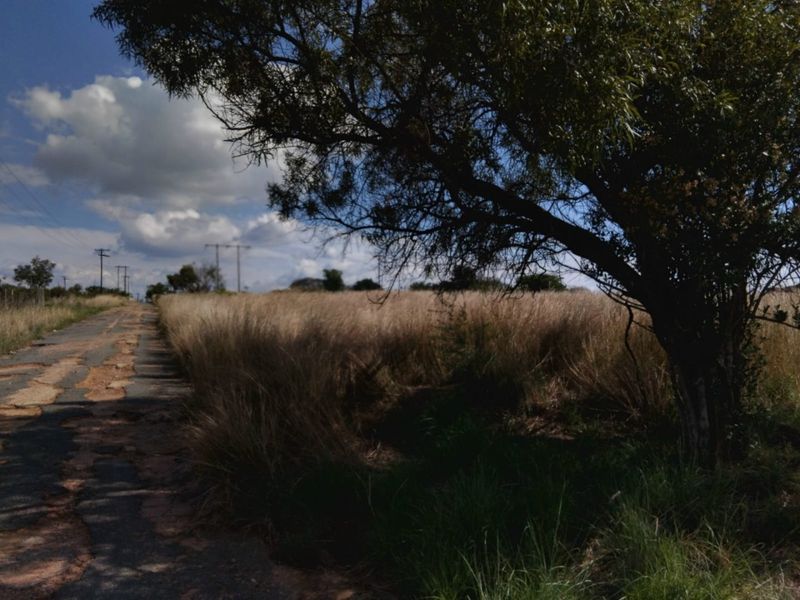 10 000 SQUARE METERS VACANT LAND/STAND PROPERTY FOR SALE - Photo 6