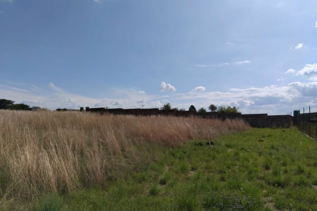 A vacant residential plot featuring natural grass, tall dry vegetation, and a perimeter wall with electric fencing.