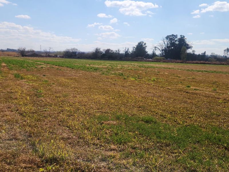 Luxury Meets Agriculture: Your Dream Estate Awaits! - Photo 6