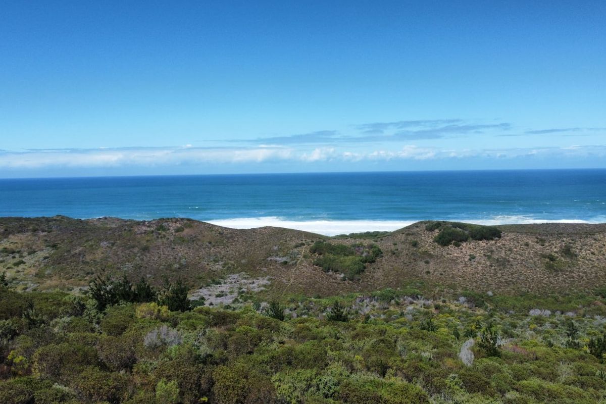 Coastal Land with Direct Beachfront – A Rare Find in Brenton on Sea - Photo 5