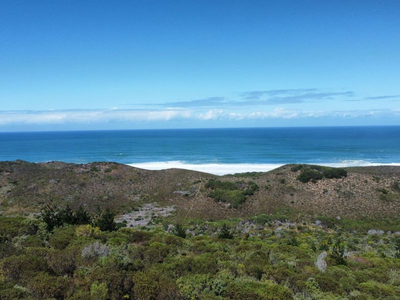 Coastal Land with Direct Beachfront – A Rare Find in Brenton on Sea - Photo 5