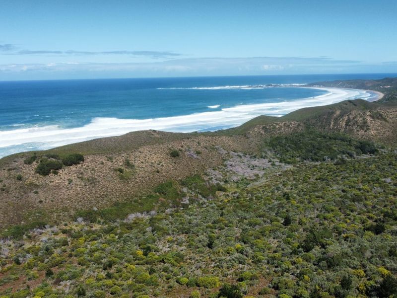Coastal Land with Direct Beachfront – A Rare Find in Brenton on Sea - Photo 10
