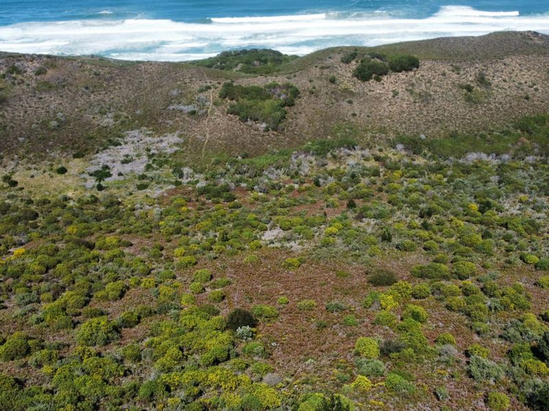 Coastal Land with Direct Beachfront – A Rare Find in Brenton on Sea - Photo 9