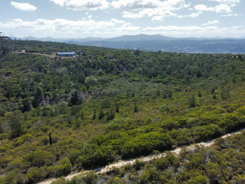 Coastal Land with Direct Beachfront – A Rare Find in Brenton on Sea - Photo 8