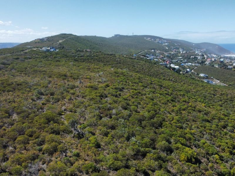 Coastal Land with Direct Beachfront – A Rare Find in Brenton on Sea - Photo 7