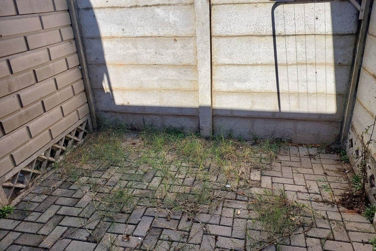 A small paved rear courtyard area featuring a precast concrete boundary wall and a wall-mounted drying rack, currently requiring maintenance.