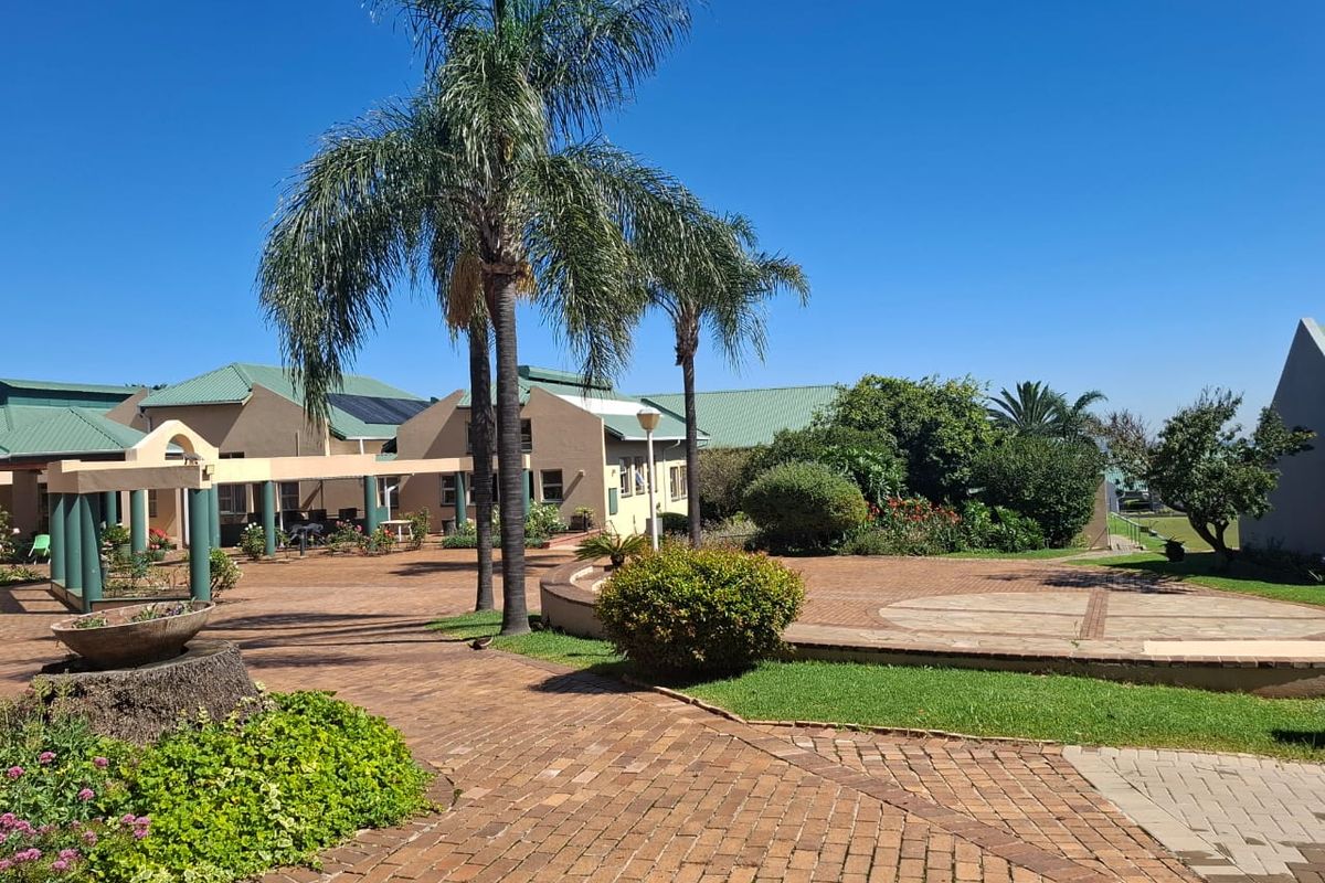 A well-maintained paved courtyard area featuring mature palm trees, landscaped garden beds, and a pergola, providing an inviting outdoor space.